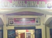 Pemanen Kebun Kelapa Sawit Milik Nawar diduga mencuri TBS Milik PT Lonsum Di Amankan Polsek Rawas Ilir