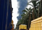 Ketua IWO Muba : Berulang Kali Terbakar, Kapolsek Keluang Diduga Tidak Tegas Menetapkan Perkara Tersebut