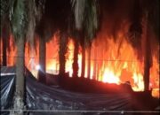 Diduga Hampir Setiap Hari Terbakar, Kali Ini Sumur Minyak Milik Santo Dilahap Sijago Merah