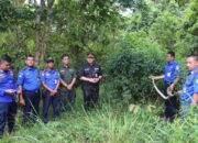 Tim Damkar Muba Lepas Liarkan Ular Hasil Evakuasi Kembali Ke Habitatnya