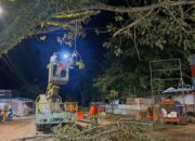 Respons Cepat BPBD Muba Pangkas Pohon Rawan Tumbang