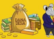 Ketua PJS Muba : Periksa Dana Desa Napal dan Karang Ringin 1, Diduga Ada Penyimpangan ?
