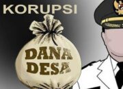 Diduga Kades Pandan Ulang Cairkan Dana Desa Tanpa Rekomendasi, Ketua PJS Muba : Ini Suatu Kesalahan Fatal