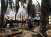 Ketua PJS Muba : Copot Kapolres Muba yang Diduga Tak Berani Menindak Kapolsek Keluang, Diduga Hindoli Terbakar Kembali