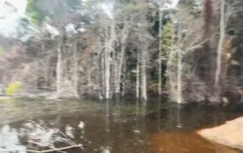 Diduga Camat Sanga Desa tidak tegas, terhadap indikasi Penimbunan Sungai Tangkelese oleh perushaan tambang batu bara