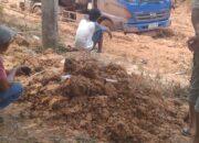 Kerusakan Jalan Makin Parah, Armada Angkutan Minyak Ilegal “PT Five Jaya Abadi” Terjebak di Jalan Desa Keban I-Macang Sakti